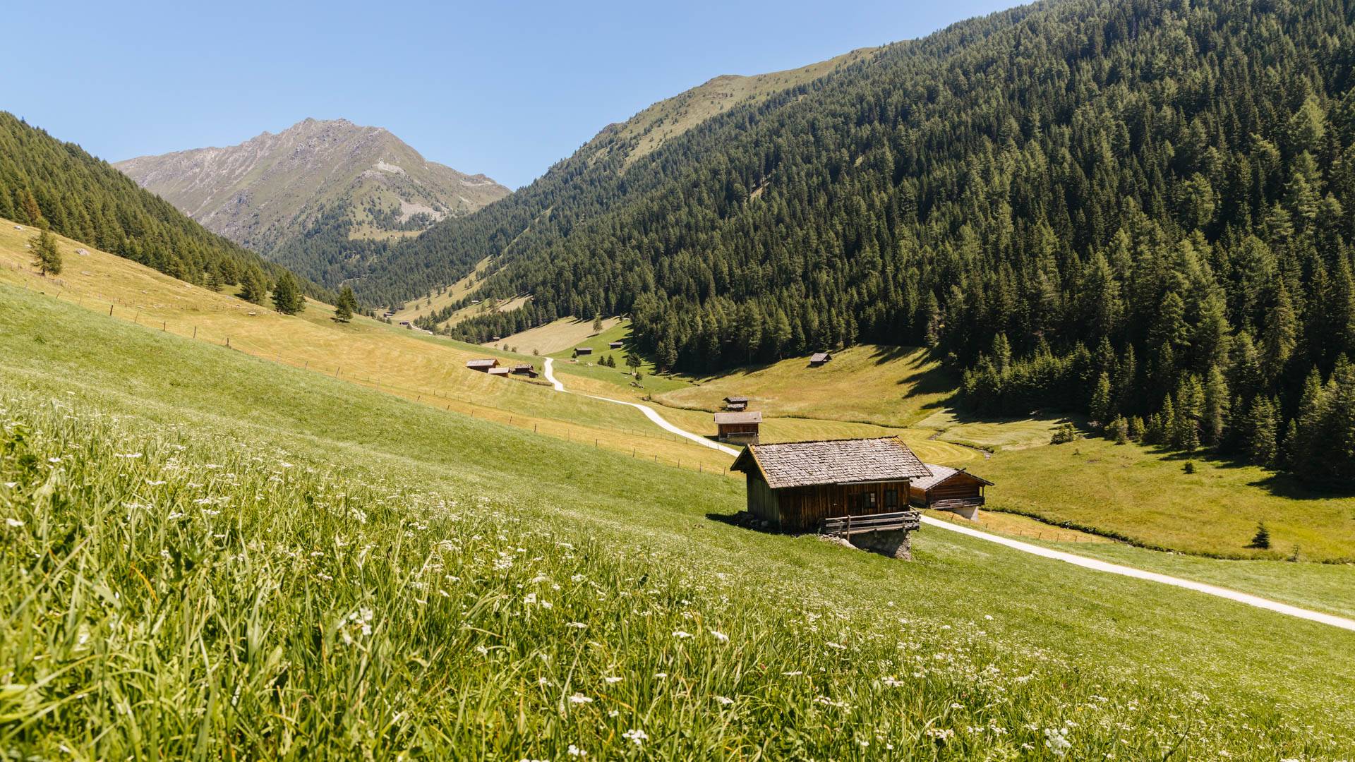 Gitschberg Jochtal Almencard