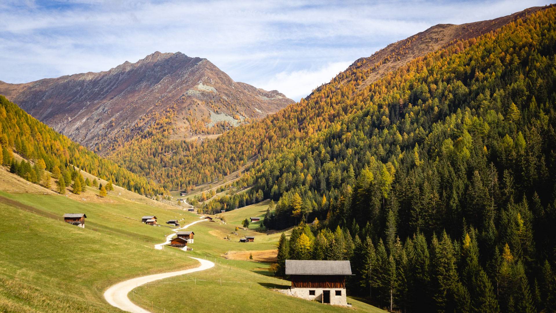 Gitschberg Jochtal Almencard