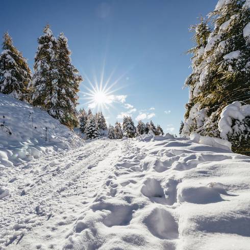 Gitschberg Winter