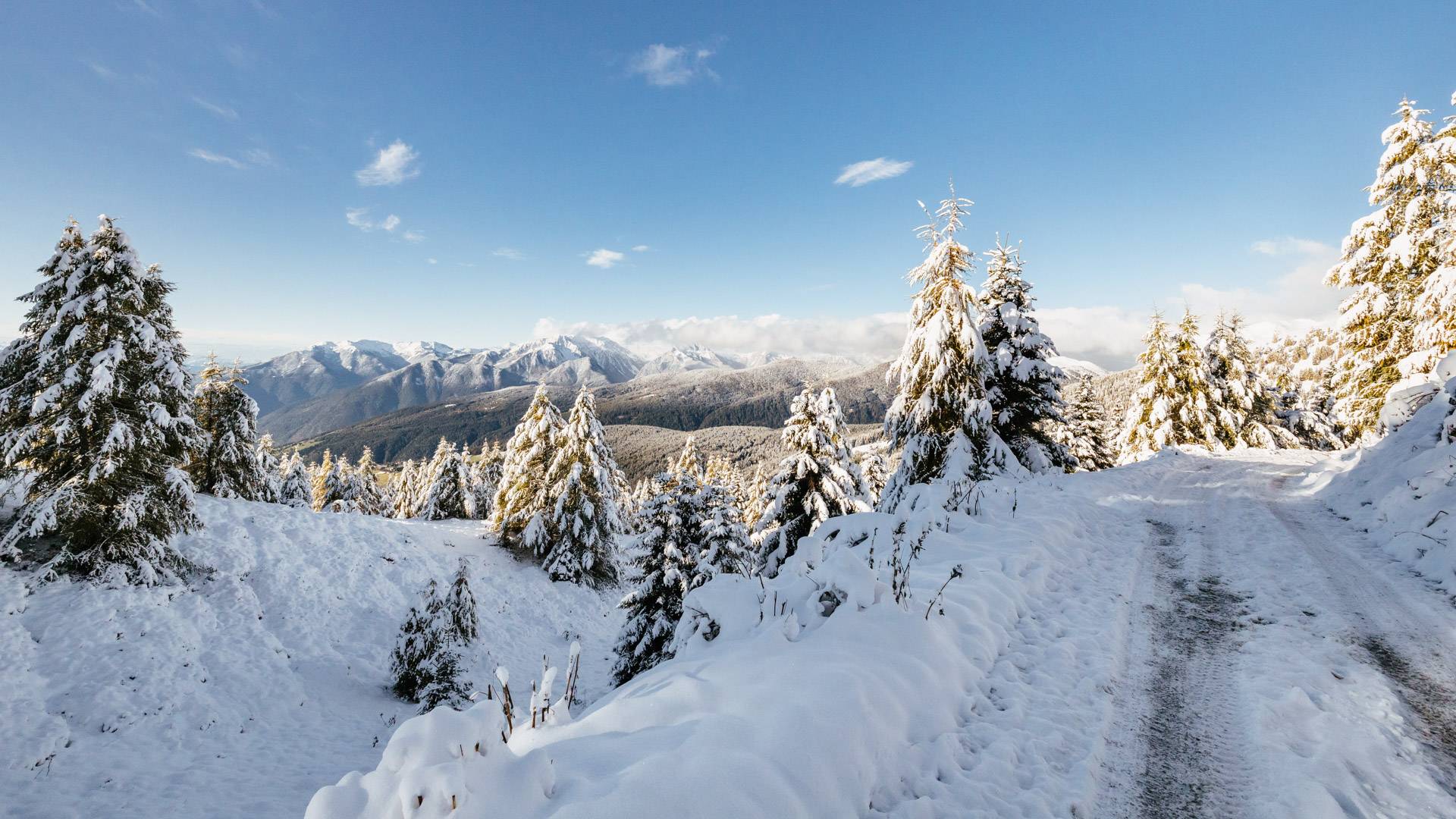 Meraviglie invernali