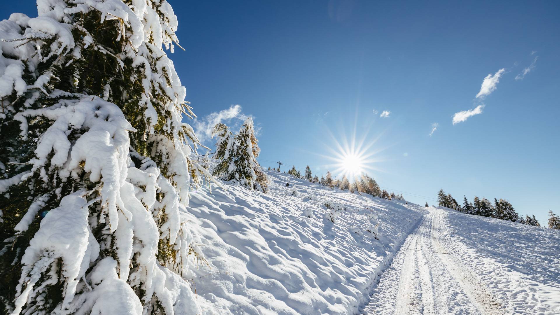 Skifahren Gitschhütte
