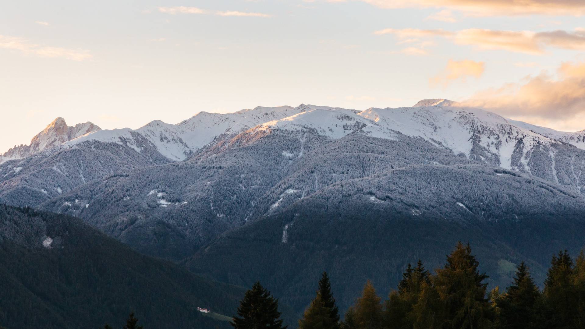 Ferienwohnung Speckerhof